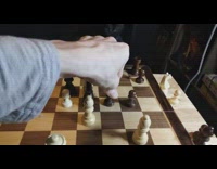 Man tries to teach pet cat how to play chess