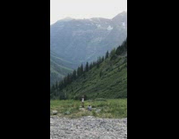 Woman white top photo shoot Glacier National Park