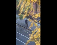 Man hoodie hold head props on street 