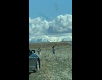 Woman top pony tail dance fields