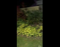 Brothers in law hammered on family vacation