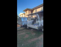 Clips MPUGC - Dog jumps on truck falls to the other side