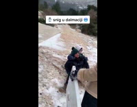 Friends snow sledding at Dalmatia after years
