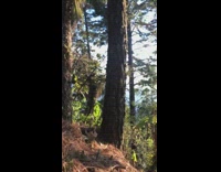 Scenic Sunset View from Mountains in Mexico 