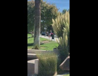 Two girls tiktok dance sidewalk white pt. 2
