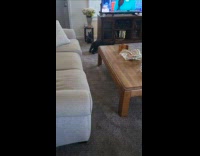 Dog scratching face on carpet 