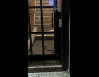 Collab WINY - Black snake on floor behind the door