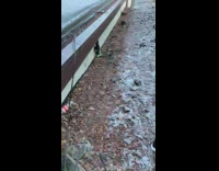 Collab DailyDoseOfInternet - Man runs on wet floor slides down and fall