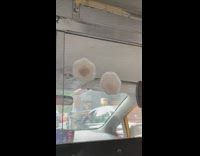 Nipple cover pasties stuck on glass car