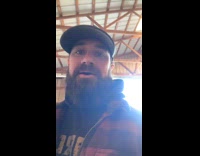 Man shows calf highland cow 