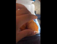 Collab Clips MPUGC - Dog grabs chicken nugget from hooman