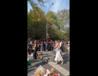 Dog parade with costumes at the street
