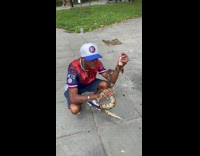 Guy tells little girl facts about his snakes