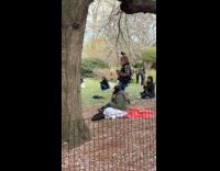 Guy furry animal costume walk at park