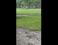 Grey sweater guy spins around park grass