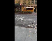 Trash tornado swirls from sidewalk to road