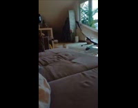 Cat acts like dog likes playing fetch