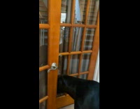 Black dog open door push door handle