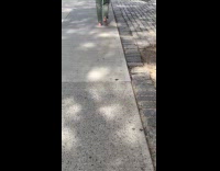 Man checkered top walks barefoot on sidewalk
