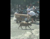 Collab WINY - Guys help delivery guy pick up packages