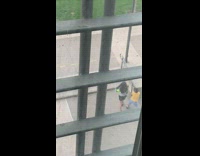 Two children tiktok dance video shoot front house