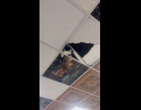 Cat look down from broken part of ceiling