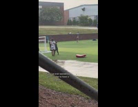 Little boy spiderman defends sister 