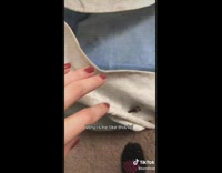 Cat inside of teepee looks up when its moved