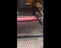 Bee spins fast on the small hole 