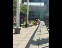 Woman in white dress lie down on the grass