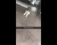 Cat got scared from pressure cooker steam