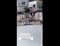 Collab WINY - Barefoot man on chair feed pigeons street