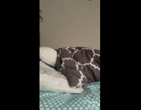 Guy online class school error message bed