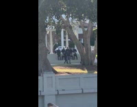 Guys suit drop pants black underwear park