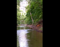 Deer came back to visit dog and woman