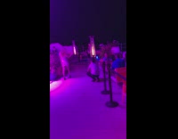 Girl wearing dress poses for photo