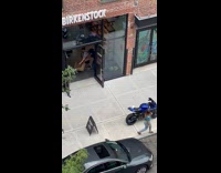 Collab WINY - Man throws pigeon away from the store