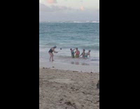Four ladies swim caps goggles beach shore 