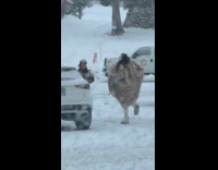 Woman fur coat poses in the snow