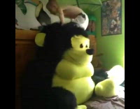 Boy climbs and falls off stuffed animal 