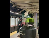 Cockatoo bird sitting atop cage eating bread at subway station