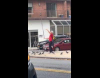 Man balancing pole with pigeon on top