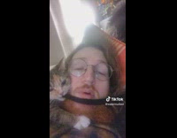 Cat chewing on owners hoodie string