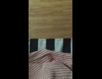 Cat paw touch piano tile rug sound