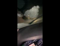 Woman breaks nail trying to get ice off the windshield