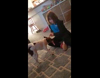 Dog tries pulling rope toy from girl