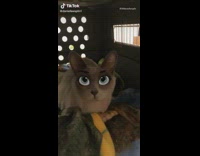 Girl uses disney character eyes filter cat