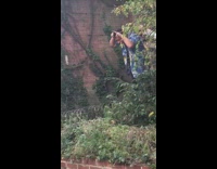 Blue shirt guy attempts to crowd surf 