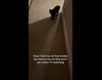 Woman shows how he feeds her cats