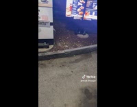 Man gets frustrated ordering at Mcdonalds drive thru